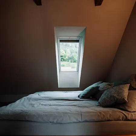 فندق Steinthron *